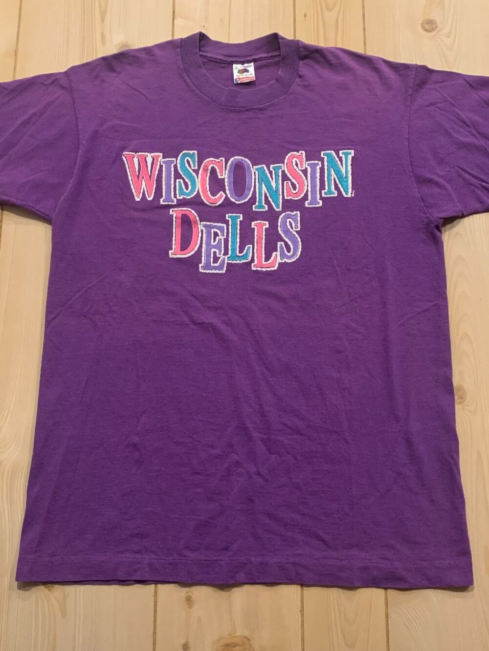 Vintage 90s Wisconsin Dells Souvenir Midwest Waterpark Retro T-Shirt Size L